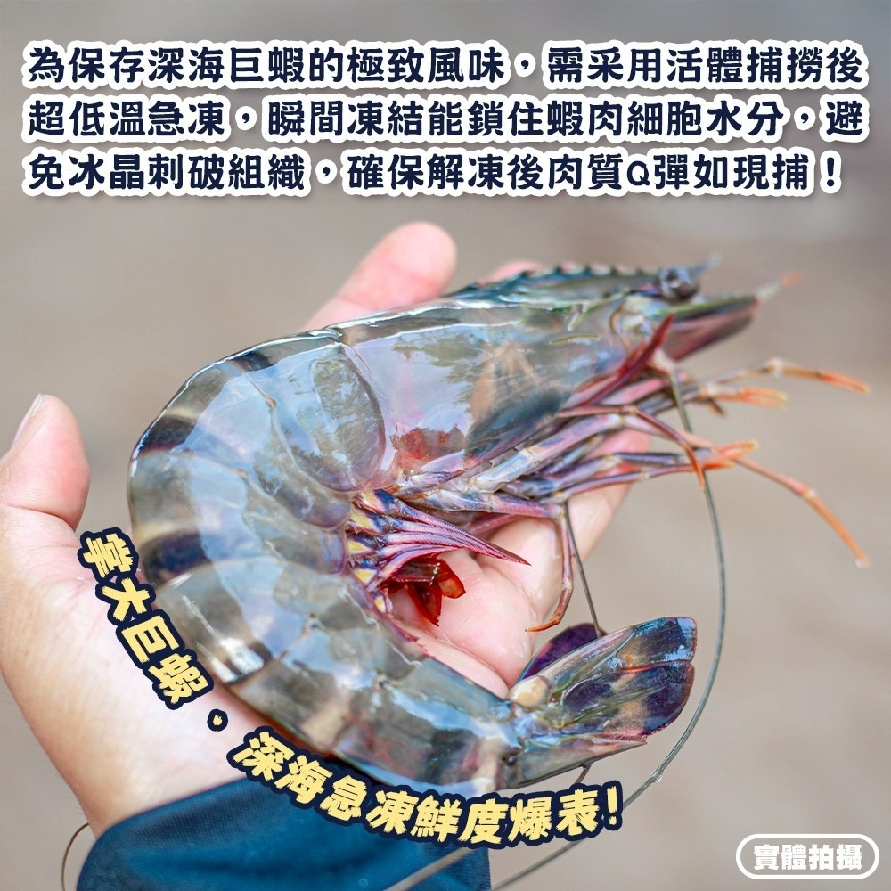 巨無霸野生海草蝦(每盒6-7尾/淨重500g)【海陸管家】滿額免運 草蝦 虎蝦 大草蝦-細節圖4