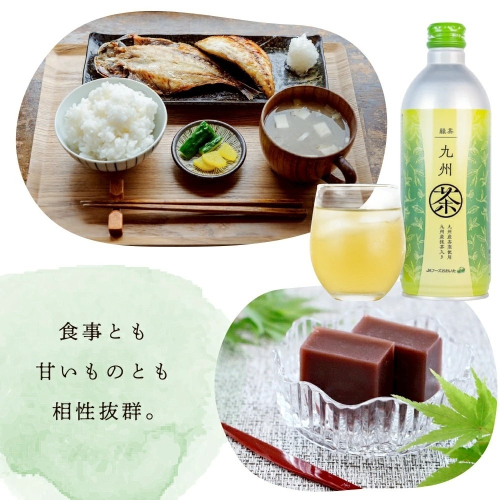 日本JA Food 大分九州綠茶 490ml 日本原裝進口 大分 大分綠茶 無糖茶 無糖綠茶-細節圖4