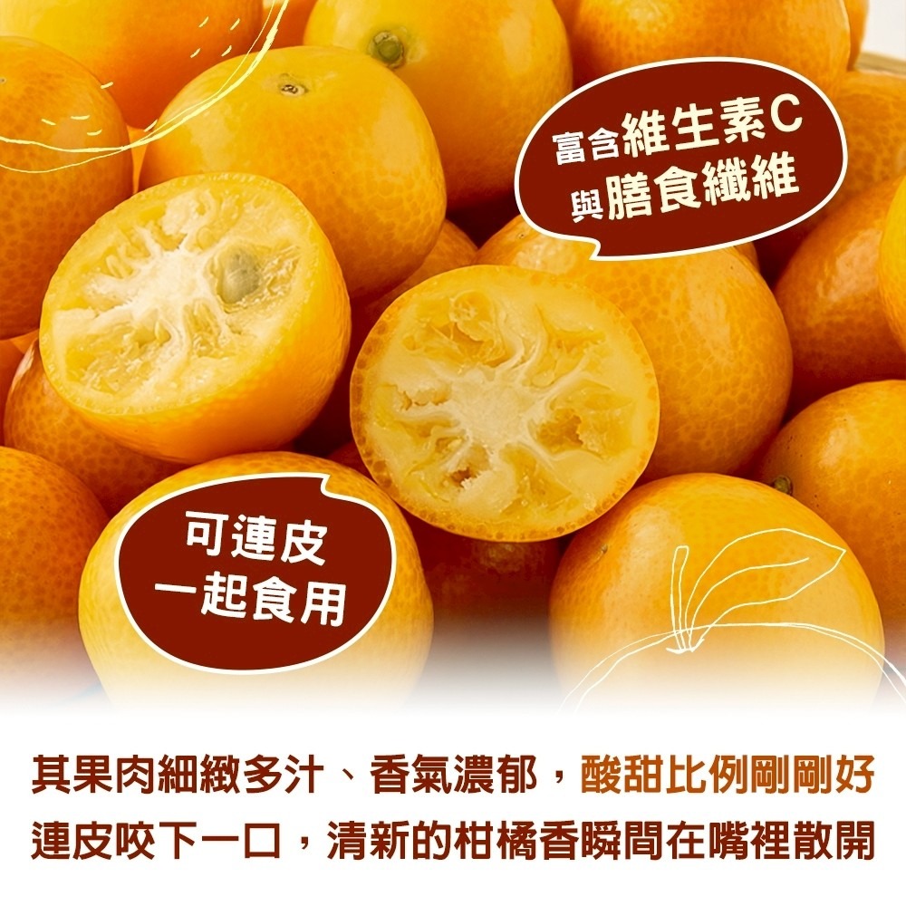 台灣珍珠一口蜜金桔(每盒500g±10%) 0運費【果農直配】台灣水果 台灣金桔 金吉 金橘 台灣金吉-細節圖3