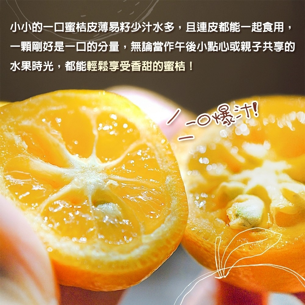 台灣珍珠一口蜜金桔(每盒500g±10%) 0運費【果農直配】台灣水果 台灣金桔 金吉 金橘 台灣金吉-細節圖4