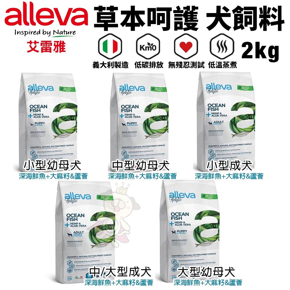 Alleva 艾雷雅 犬糧 2Kg【免運】均衡照護｜ 草本呵護 ｜鮮肉饗宴系列 狗飼料『WANG』-細節圖5