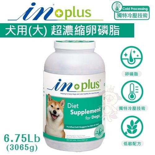 IN-PLUS 贏 犬用保健食品 益生菌｜卵磷脂｜發育整腸酵素｜骨力補 狗保健品『WANG』-細節圖7