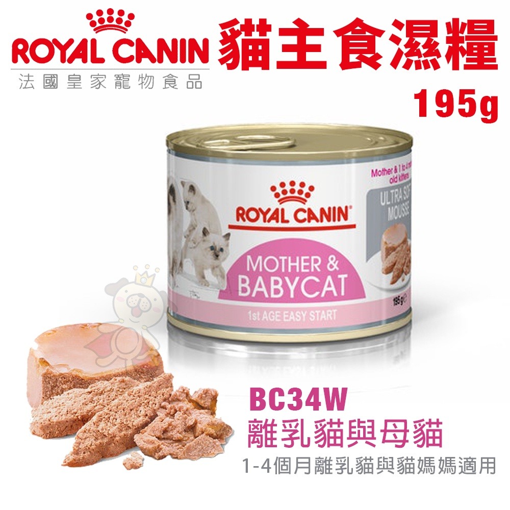 Royal Canin 法國皇家 貓主食濕糧85g/BC34W離乳貓與母貓195g 奧地利進口 貓糧 貓餐包『WANG』-細節圖4