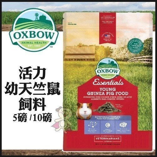 美國OXBOW 田園精選系列/活力配方系列 成天 幼天 成兔 幼兔 龍貓 鼠 小動物飼料『WANG』-細節圖8