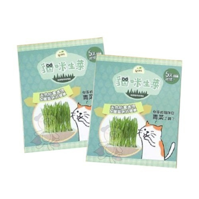 《貓咪生菜》新鮮貓草栽種盒『WANG』