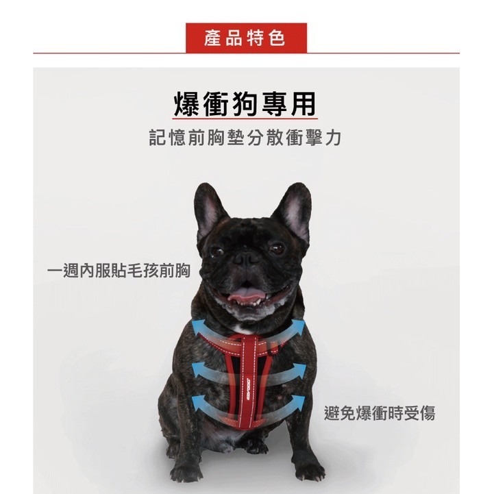 EZYDOG 胸背帶系列 八字訓練胸背帶 狗體工學胸背帶 秒穿胸背帶 快套式胸背帶 犬用『WANG』-細節圖8