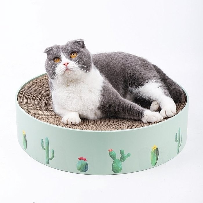 FD.Cattery 圓型貓抓窩-仙人掌 小/中/大 凹面滑順弧度設計 休息更舒適 貓抓板『WANG』-細節圖11