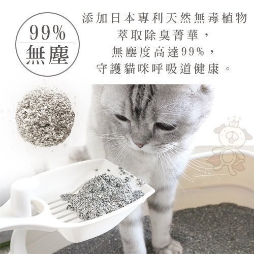 你的貓 YourCat 凝結式無塵活性碳貓砂 6kg 無塵貓砂 貓砂 『WANG』-細節圖8