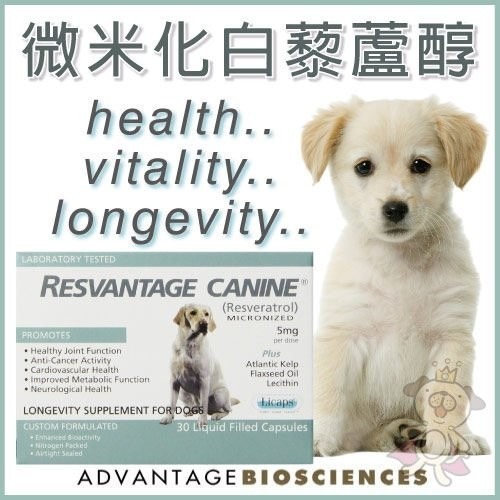 RESVANTAGE CANINER微米化白藜蘆醇 愛犬專用『WANG』-細節圖2