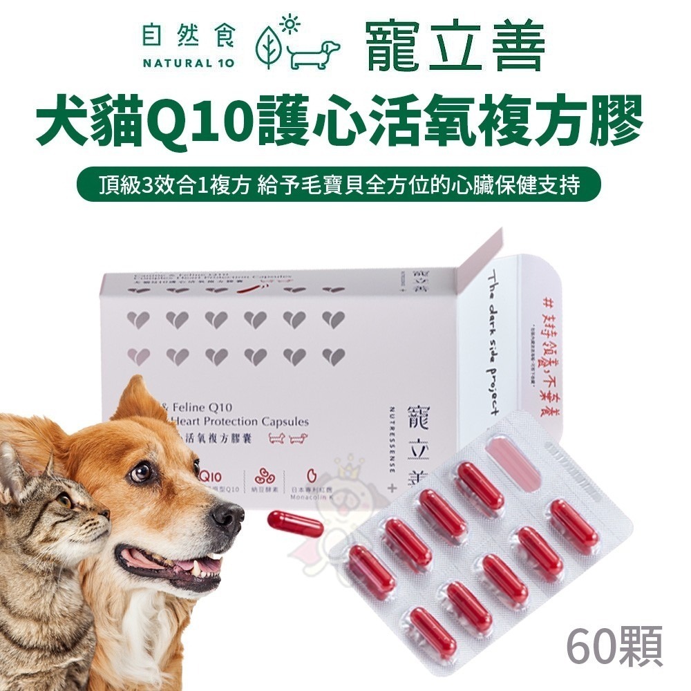 Natural10 自然食 寵立善 犬貓保養品 益生菌 毛髮 營養粉 護眼葉黃素 Q10護心活氧複方膠『WANG』-細節圖3