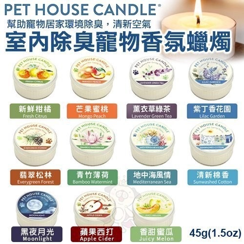 美國PET HOUSE室內除臭寵物香氛蠟燭-多種香味可選 45g 幫助寵物居家環境除臭 清新空氣『WANG』-細節圖3