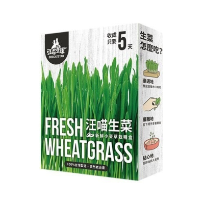 DogCatStar汪喵星球 貓草新鮮栽培盒65g 長超快 5天收成 貓草 貓零食『WANG』