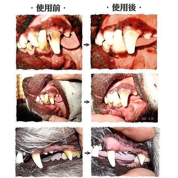 美國Petzlife潔牙樂 牙齒保健系列 牙齒噴劑/牙齒凝膠 維護口腔清潔『WANG』-細節圖8