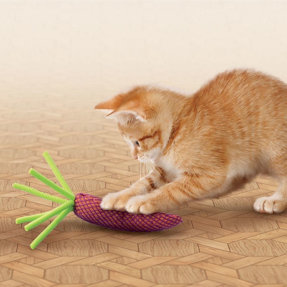 美國 KONG 貓玩具系列 海洋世界 閃亮玩具 旋轉胖胖猫 吸盤玩具 有塑膠袋聲音 顏色隨機出貨 貓玩具『WANG』-細節圖6