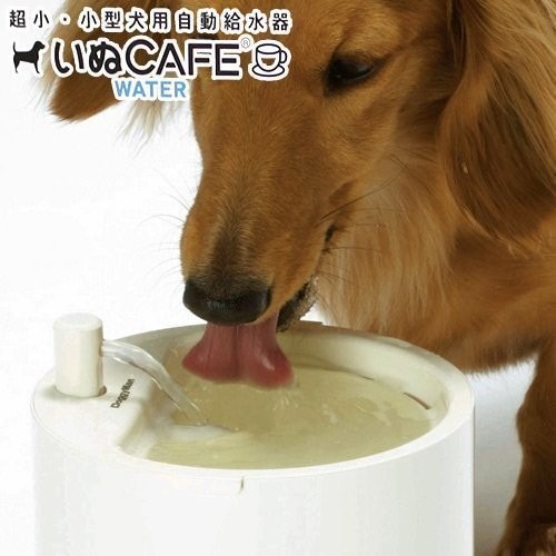 Doggy Man愛狗用CAFE自動飲水器 【犬用流水淨化飲水器】『WANG』-細節圖3