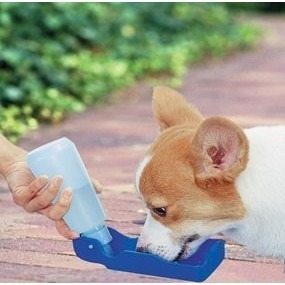 Doggy man 犬貓用機能型外出便利水壺/飲水器S 250ml - 藍色 / 粉紅色『WANG』-細節圖4
