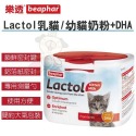 荷蘭 beaphar 樂透 Lactol 寵物奶粉 250g 幼犬｜ 幼貓 奶粉+DHA 犬貓奶粉『WANG』-規格圖7