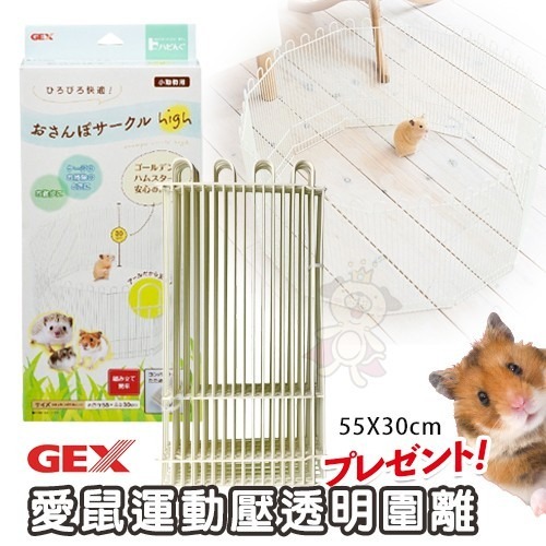 日本GEX 愛鼠運動壓透明圍離66063 在家也能讓寵物鼠活動娛樂『WANG』-細節圖2