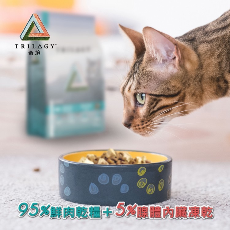 Trilogy 奇境 無穀凍乾貓糧 300g 凍乾貓飼料 全齡貓飼料『WANG』-細節圖6