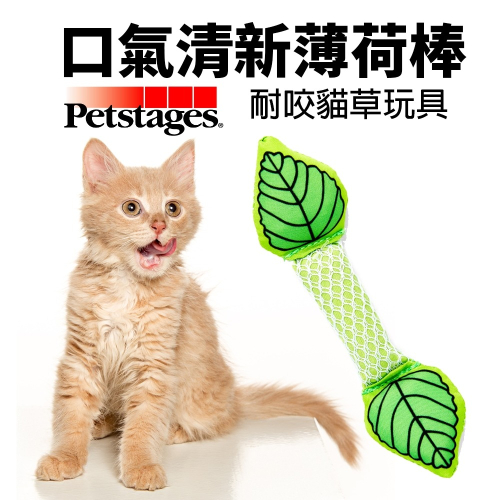 美國 Petstages 335 口氣清新薄荷棒 薄荷棒 貓草玩具 耐咬 貓玩具『WANG』