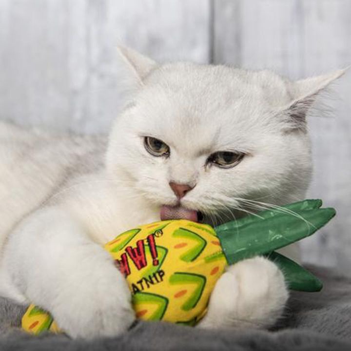 YEOWWW! 瘋狂貓 有機貓草玩具系列 耐咬 耐玩 貓草玩具 貓咪最愛 貓玩具『WANG』-細節圖6