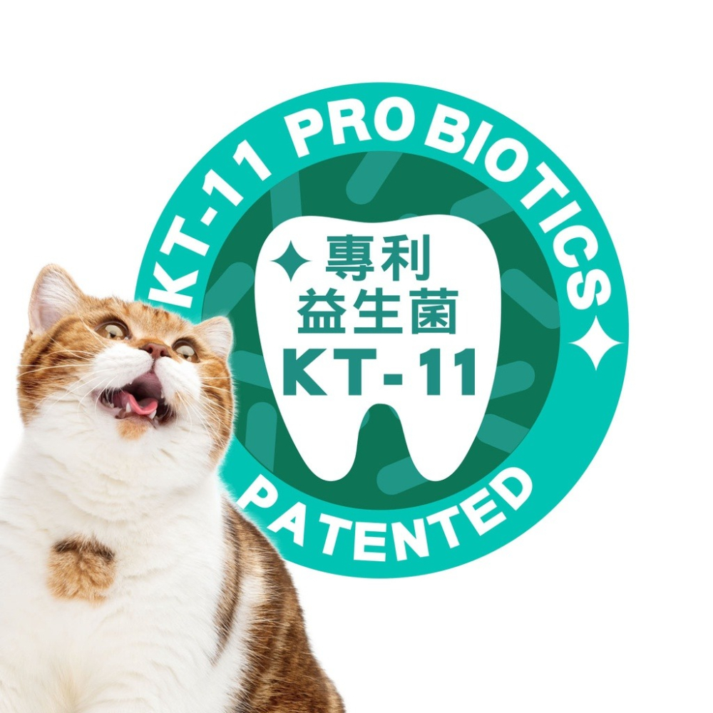 IN-PLUS 贏 口腔保健 好好益菌潔牙系列 犬貓用 潔牙拌拌/潔牙凍乾/潔牙噴噴 口腔保健『WANG』-細節圖6