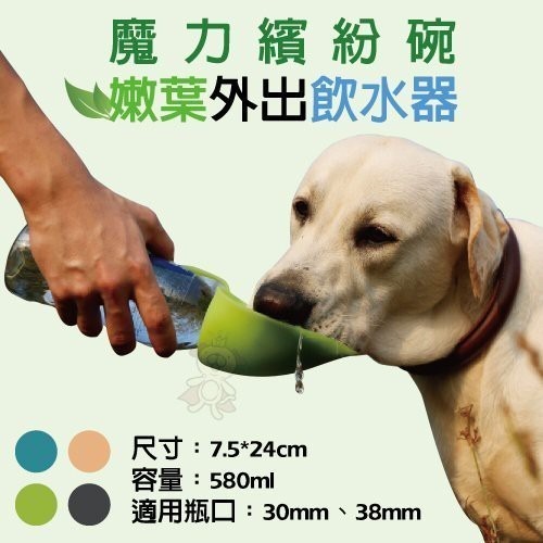 德國設計紅點獎《犬用魔力繽紛碗 嫩葉外出飲水器》主人親自餵水簡易又方便『WANG』-細節圖2