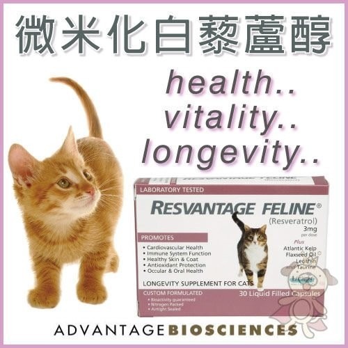 RESVANTAGE CANINER微米化白藜蘆醇 愛貓專用『WANG』-細節圖2