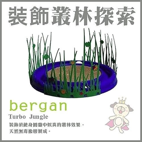 美國bergan 叢林探索【88316】『WANG』-細節圖2