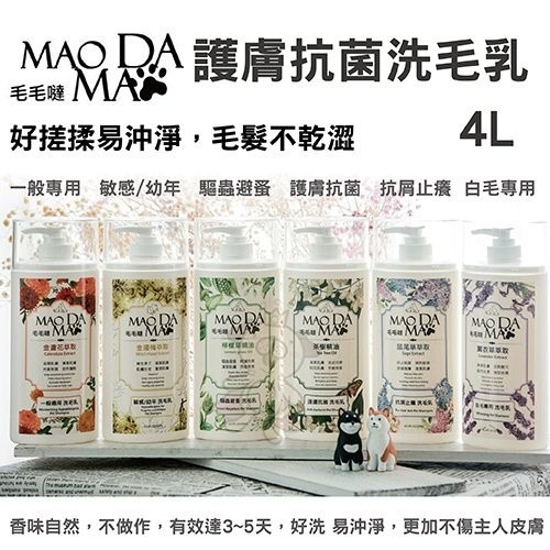 毛毛噠 寵物洗劑 500ml-4L 多種洗劑可選 敏感/幼貓/幼犬 貓狗通用 洗毛精『WANG』-細節圖3