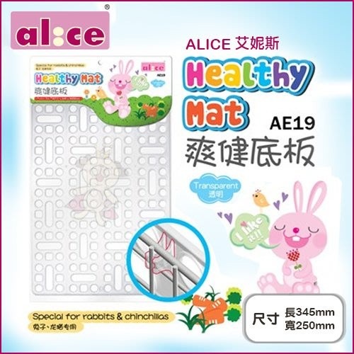 ALICE艾妮斯 磨牙石-花花世界/鮮果派對 兔子爽健踏墊AE19 倉鼠/兔子/龍貓/天竺鼠均適用『WANG』-細節圖3