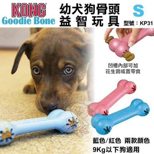 美國 KONG 狗骨頭益智玩具 幼犬｜紅色｜ 黑色 骨頭玩具 益智玩具 耐咬玩具 狗玩具『WANG』-細節圖5