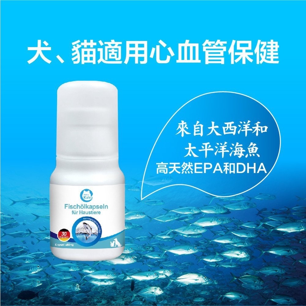 德國 Kalso 科德司 寵物魚油軟膠囊 30粒【免運】心血管保健 優質德國進口 全齡犬貓適用『WANG』-細節圖4