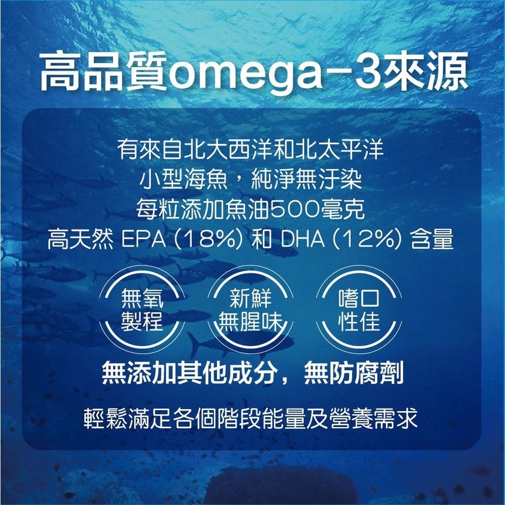 德國 Kalso 科德司 寵物魚油軟膠囊 30粒【免運】心血管保健 優質德國進口 全齡犬貓適用『WANG』-細節圖9