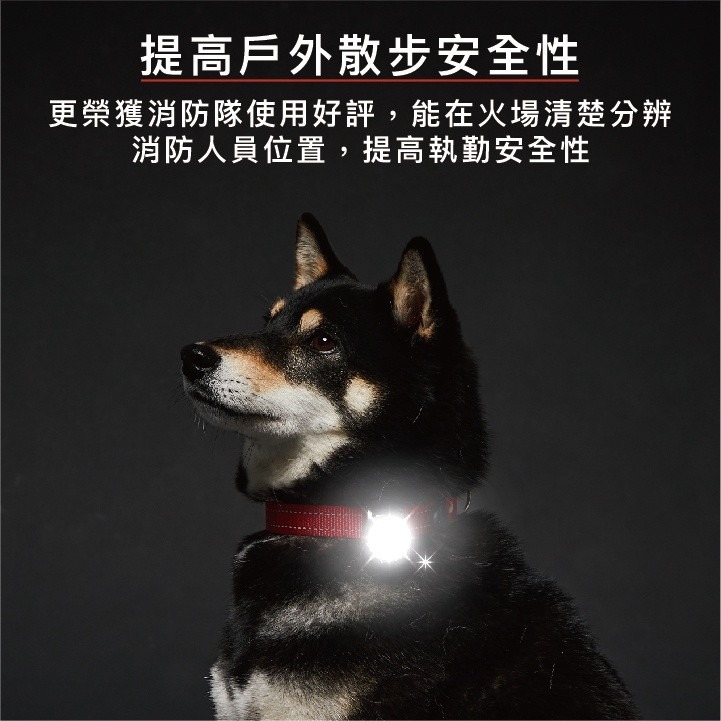 EZYDOG 寵物外出用品 寵物汽車安全帶 汽車束綁帶 犬用『WANG』-細節圖7