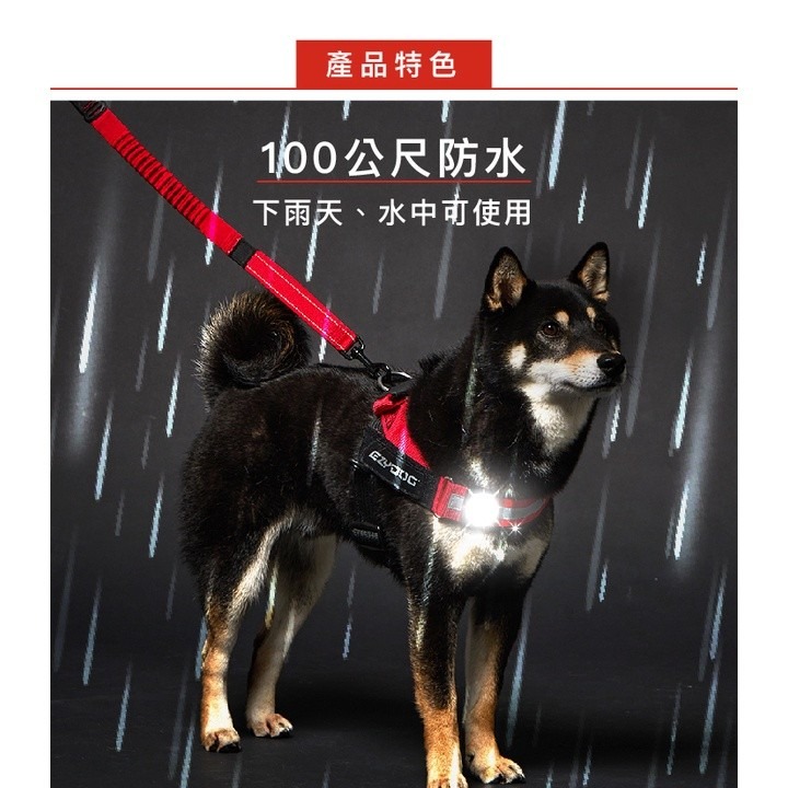 EZYDOG 寵物外出用品 寵物汽車安全帶 汽車束綁帶 犬用『WANG』-細節圖9