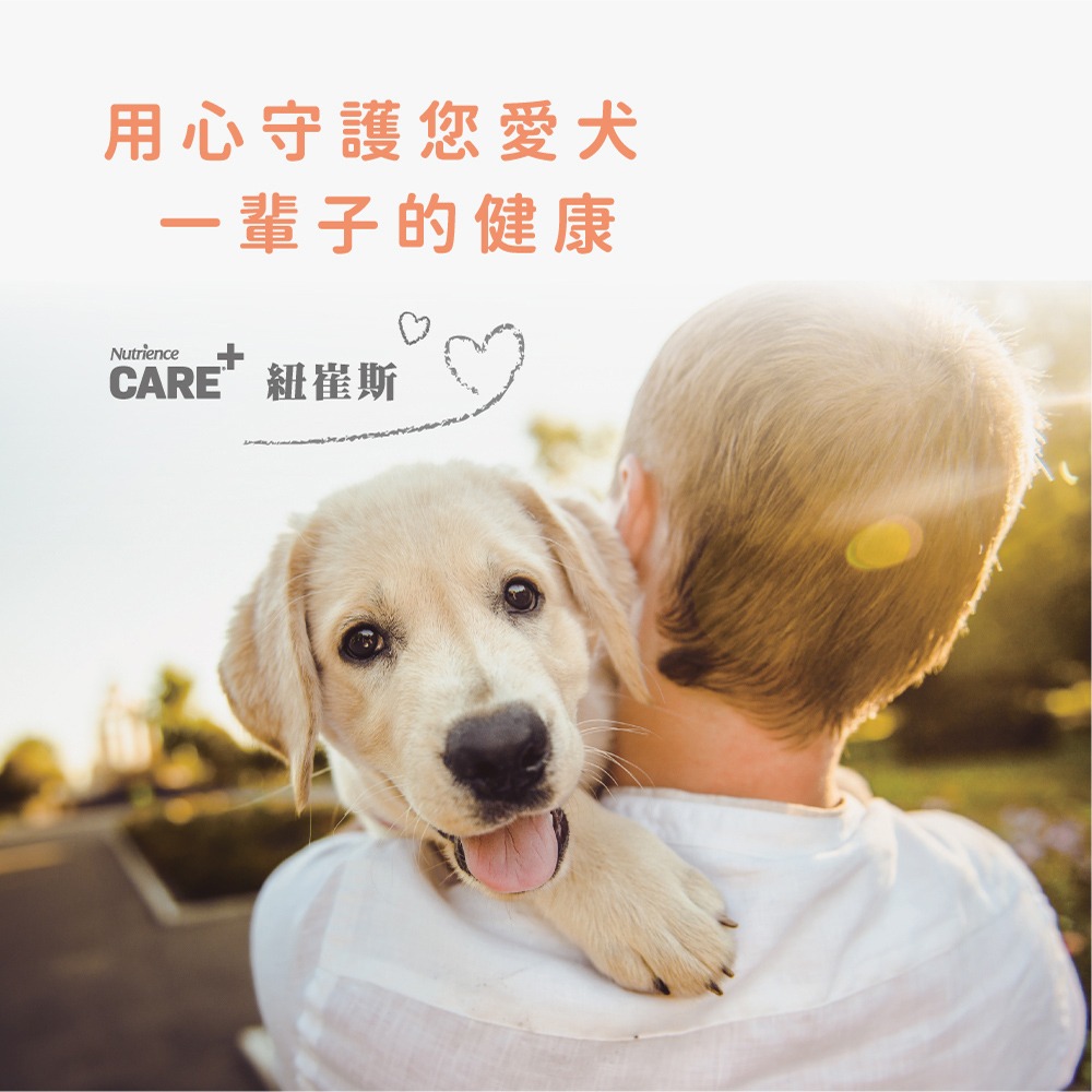 Nutrience 紐崔斯 CARE+頂級無穀處方犬糧 口腔 體控 情緒 皮膚腸胃 無穀 處方犬『WANG』-細節圖5