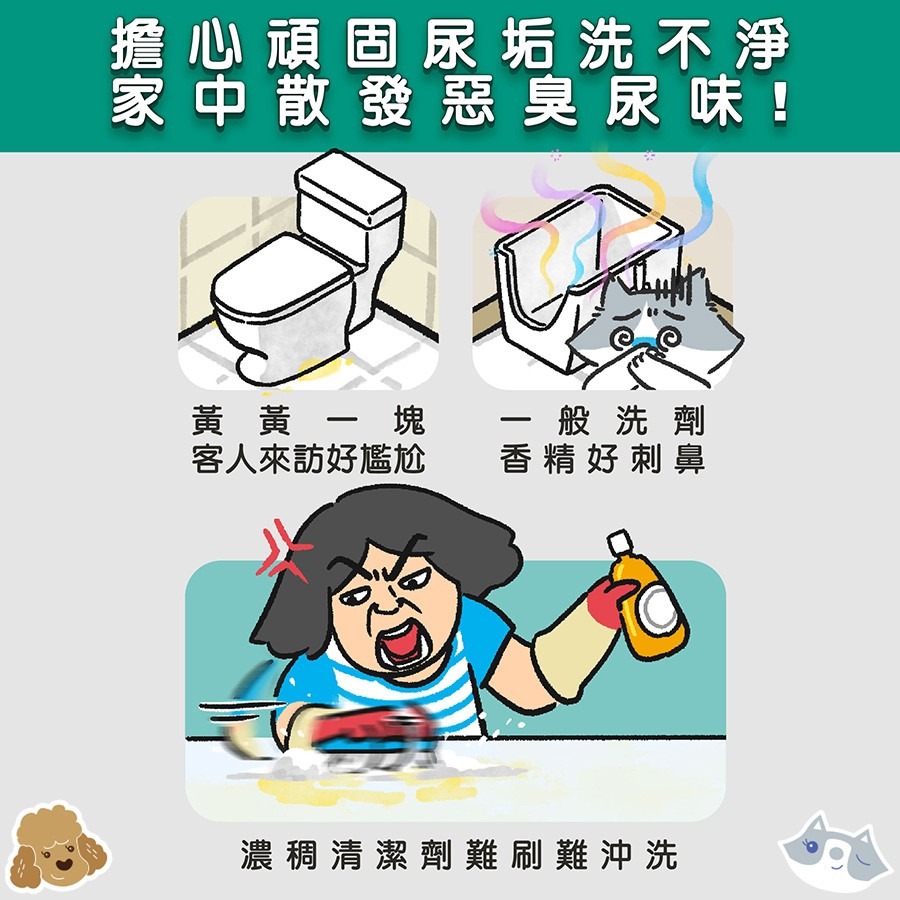 ODOUT 臭味滾 尿漬去除劑 強力泡沫除漬噴霧 沛點炭 強效除臭粒 拾便袋 犬貓用『WANG』-細節圖7