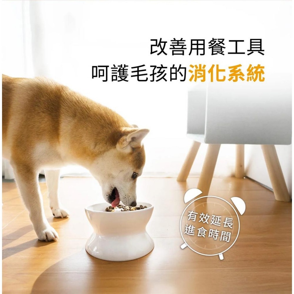 HeroMama 貓犬雙面呵護慢食碗 | 一體成型無死角 清洗更簡單『WANG』-細節圖5