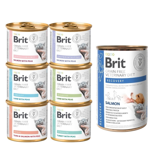 Brit 咘莉 處方系列貓罐頭200g【10罐組】犬貓處方罐400g 處方罐 貓罐頭『WANG』