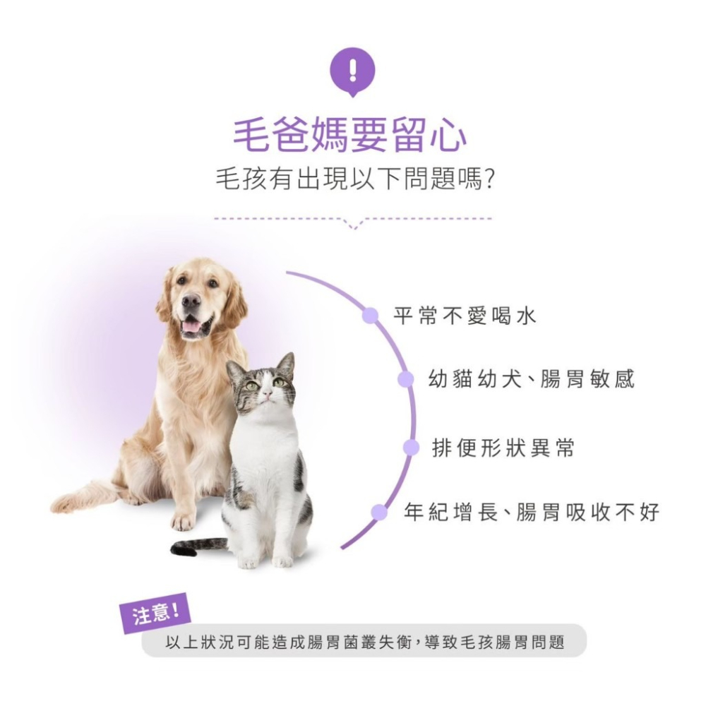Hi-Q pets 腸胃好消化(粉劑)1gx30包/盒 維護腸胃健康 犬貓益生菌『WANG』-細節圖4