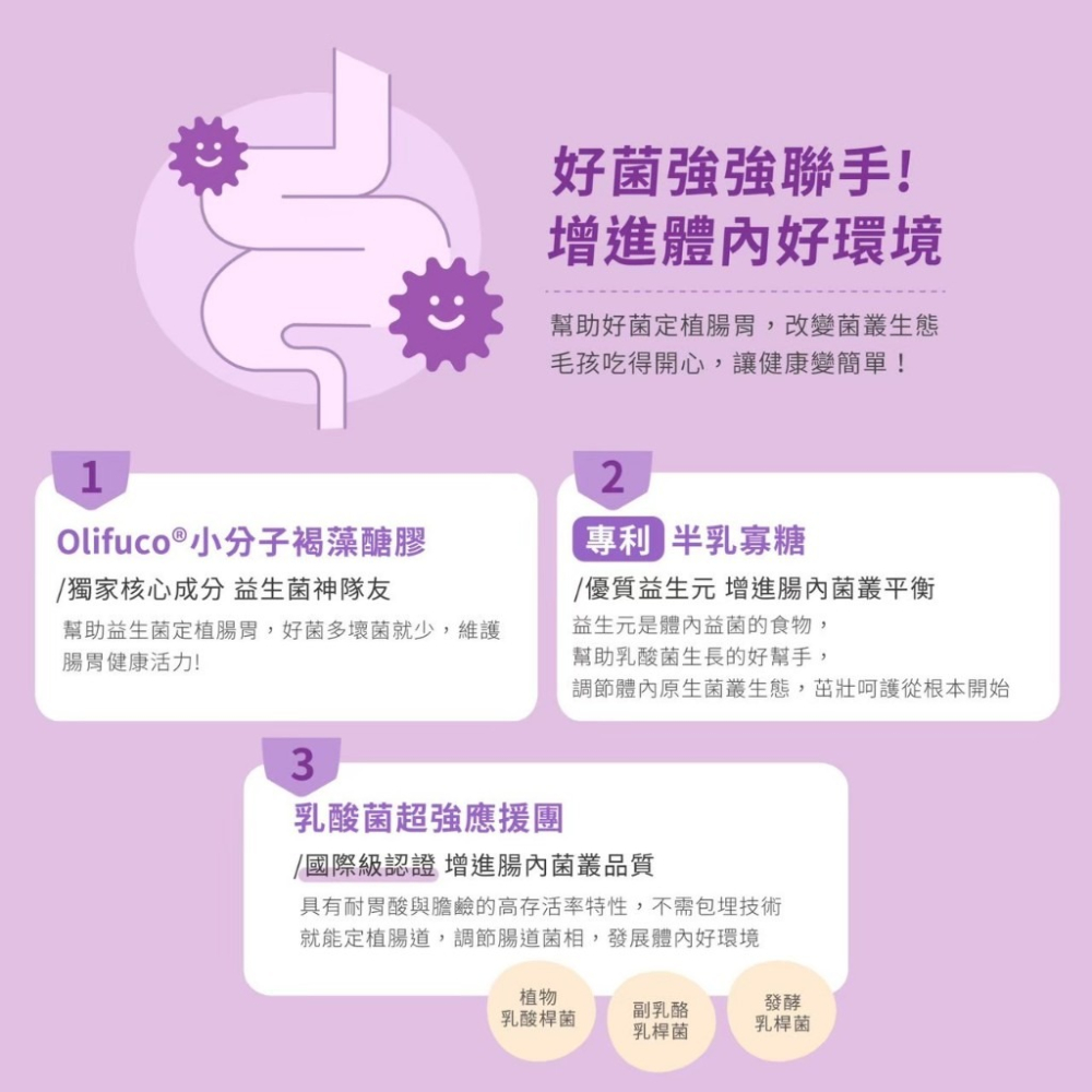 Hi-Q pets 腸胃好消化(粉劑)1gx30包/盒 維護腸胃健康 犬貓益生菌『WANG』-細節圖6