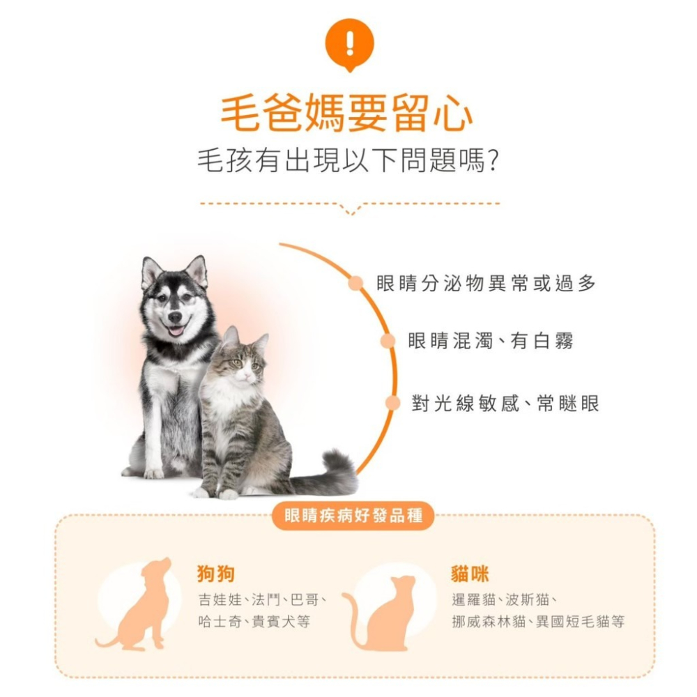 Hi-Q pets 眼睛好水亮(粉劑)1gx30包/盒 保持眼睛水亮 好視力健康補給 犬貓益生菌『WANG』-細節圖4