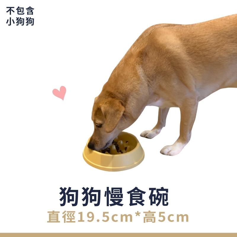 SINGEN 發育寶-S 狗狗慢食碗｜幫助中大型犬慢慢吃 好消化 慢食碗 狗餐碗 寵物餐碗 顏色隨機『WANG』-細節圖4