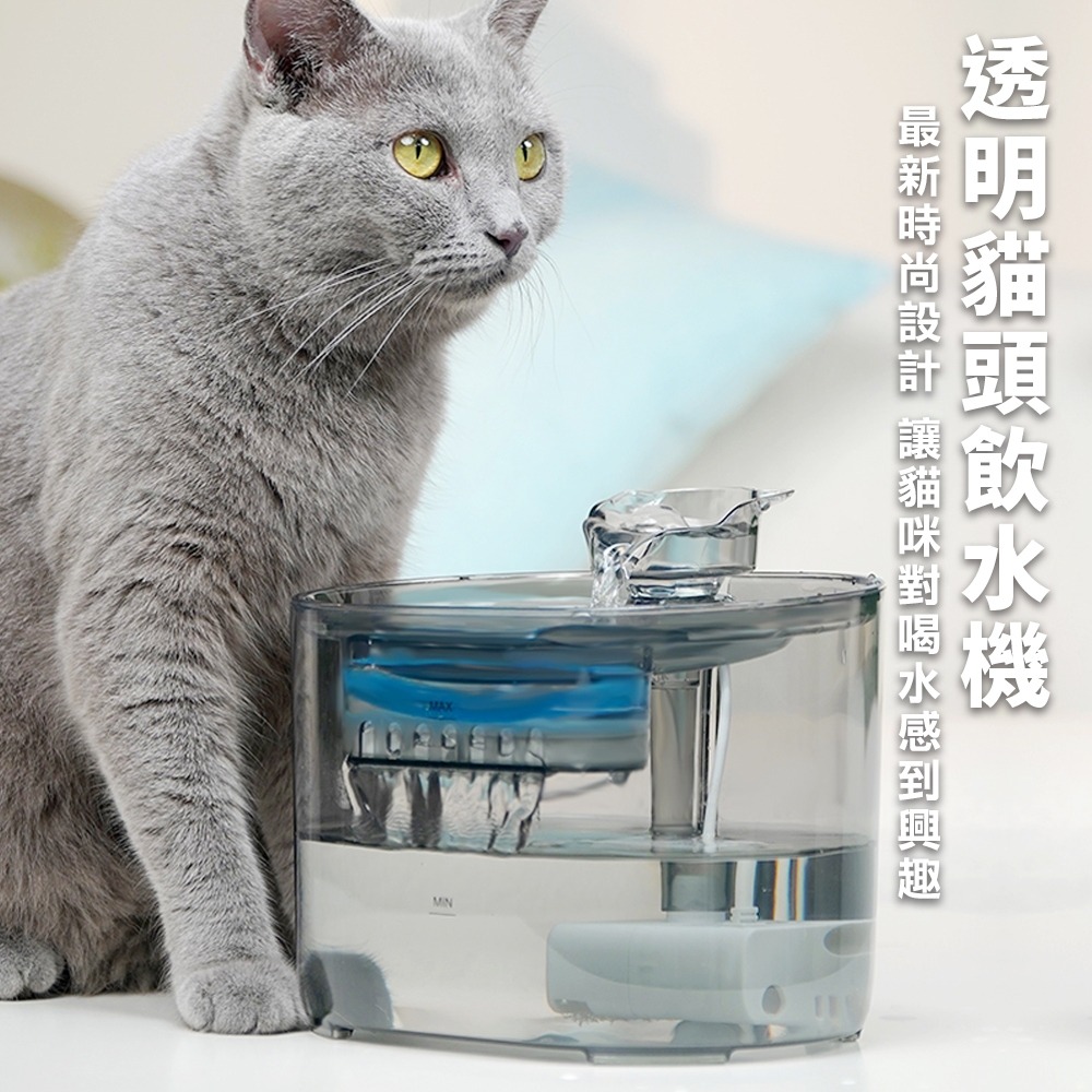 LIFE Pet 透明貓頭流水飲水器2.2L FT666透 附濾芯|餵水器 寵物飲水機 貓咪飲水機 貓狗通用『WANG』-細節圖3