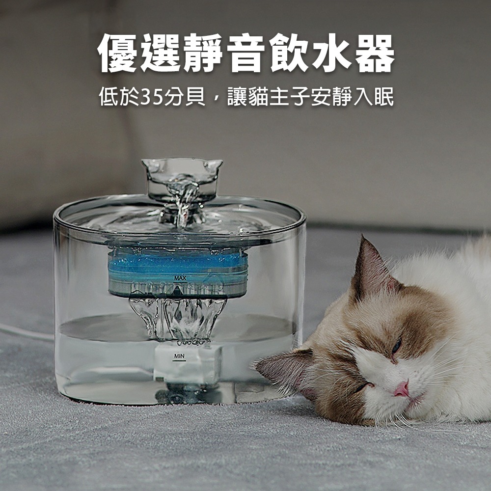 LIFE Pet 透明貓頭流水飲水器2.2L FT666透 附濾芯|餵水器 寵物飲水機 貓咪飲水機 貓狗通用『WANG』-細節圖7