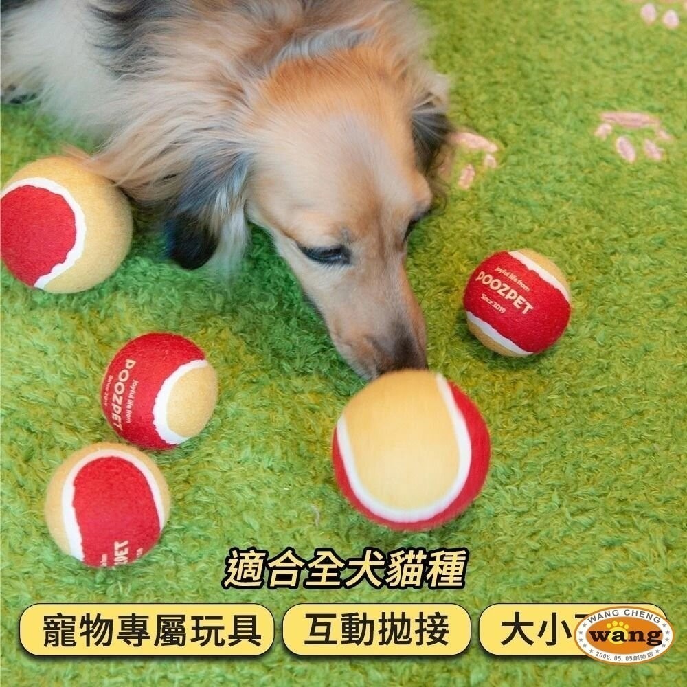 【現貨】POOZPET 寵物網球 狗玩具 發聲網球 寵物磨牙/耐咬/大型犬 /互動玩具『WANG』『林口旗艦店』-細節圖5