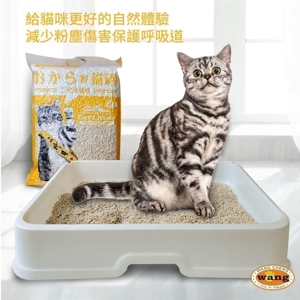 🔥【單包】🔥icat 寵喵樂 環保天然豆腐砂 6L扎實的凝結力  豆腐砂 貓砂『林口旗艦店』-細節圖3