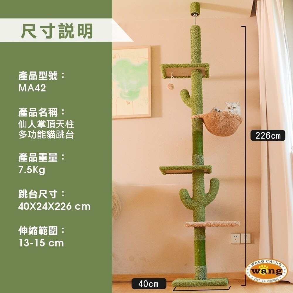 icat 寵喵樂 貓跳台 | 可愛 小鴨 恐龍 仙人掌 富士 多功能貓爬架 貓抓板 貓抓柱 貓窩 貓架『林口旗艦店』-細節圖7
