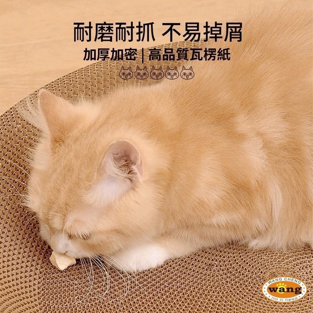 🔥特價下殺🔥icat 寵喵樂 貓抓板 S型波浪款 拱型骨型 長方型平面 拱型 平板式 可愛貓咪『林口旗艦店』-細節圖5